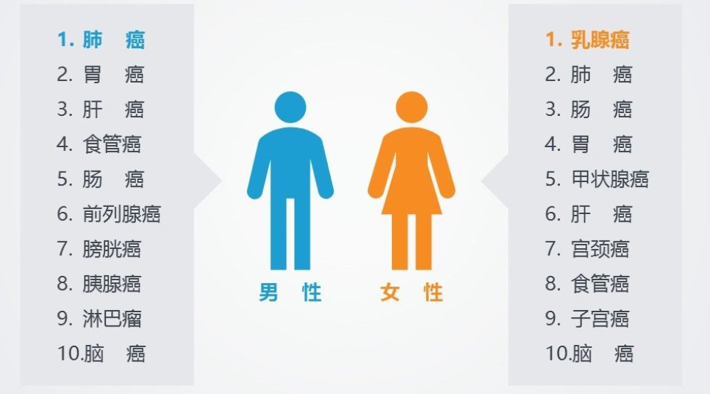 1565154703566180.jpg 微信圖片_20190806115912.jpg